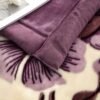 Thickened Raschel Blanket Double Thickened Soft Plush Comforter, Double Sided Velvet, Suitable For Winter Dormitory Office Sofa Warm With Velvet Comforter