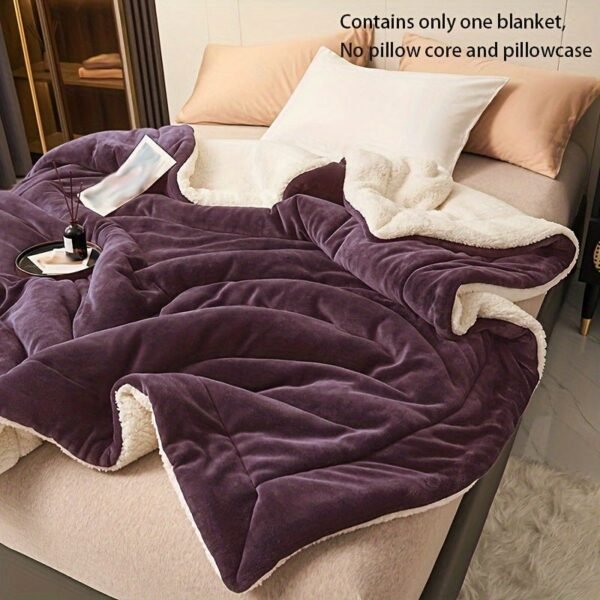 Dark Purple Double Layer Milk Velvet Lamb Velvet Blanket | Machine Washable, All Season Comfort, Polyester