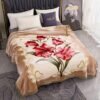 Thickened Raschel Blanket Double Thickened Soft Plush Comforter, Double Sided Velvet, Suitable For Winter Dormitory Office Sofa Warm With Velvet Comforter